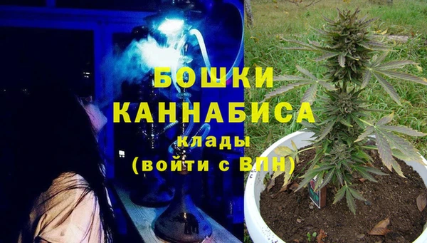 шишки Белокуриха