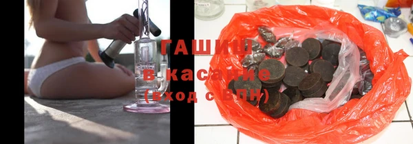 шишки Белокуриха