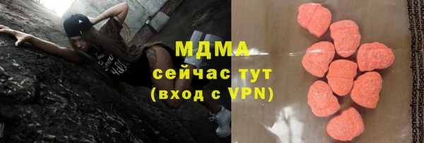 шишки Белокуриха