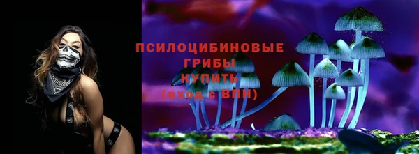 шишки Белокуриха