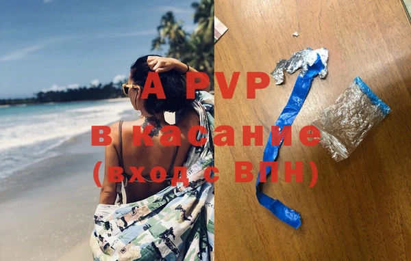 шишки Белокуриха