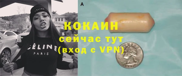 шишки Белокуриха