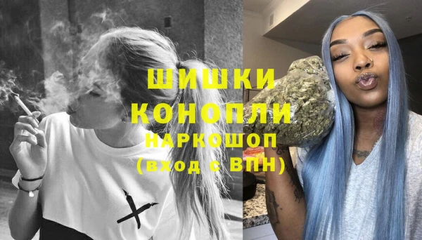 шишки Белокуриха