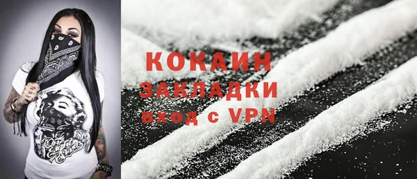 шишки Белокуриха