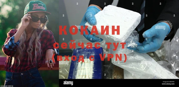индика Сосновоборск