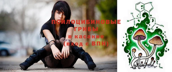 шишки Белокуриха