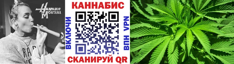 купить наркотик  Вилючинск  Марихуана сатива 